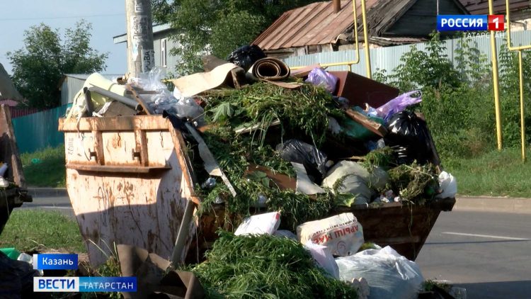 В Казани агрессивный сосед, которым заинтересовался Бастрыкин, собирается отстаивать свою репутацию