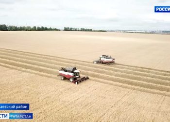 В Татарстане аграрии собрали первый миллион тонн зерна