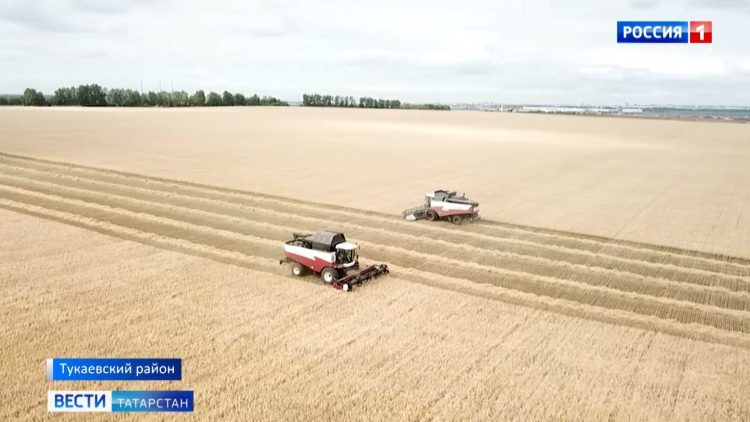 В Татарстане аграрии собрали первый миллион тонн зерна