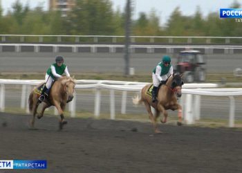 Скакуны международного класса поборолись за Кубки в честь Дня Республики