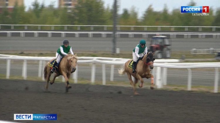 Скакуны международного класса поборолись за Кубки в честь Дня Республики