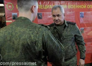 Шойгу наградил участника СВО из Альметьевска Орденом Мужества