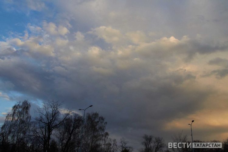 В Приволжье ожидаются заморозки