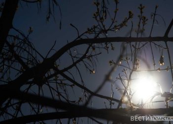 В Приволжье ожидаются заморозки