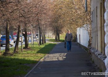 В Приволжье ожидаются заморозки
