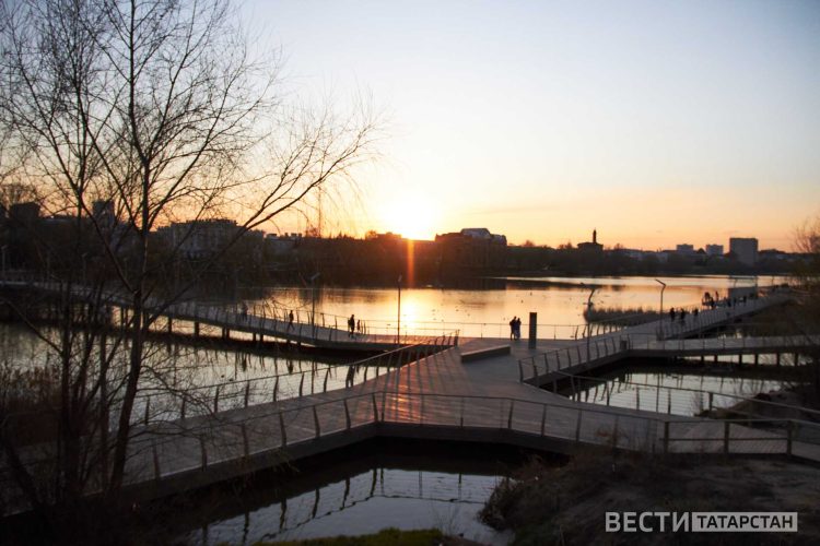 В Приволжье ожидаются заморозки