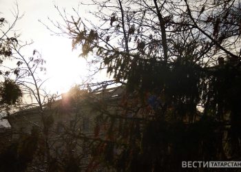 В Приволжье ожидаются заморозки