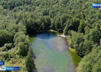 В трех районах Татарстана обнаружили краснокнижные растения