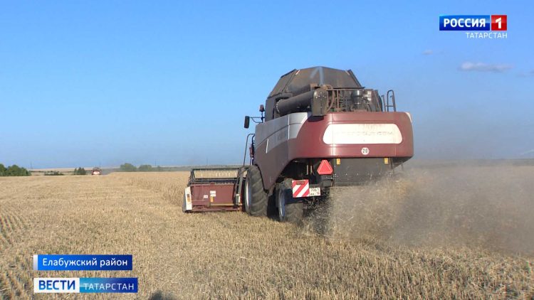 В Татарстане прошла «Битва эпох»: римляне, стрельцы и мушкетеры