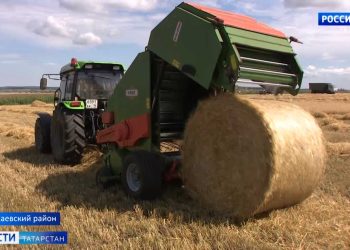 В Татарстане аграрии собрали первый миллион тонн зерна