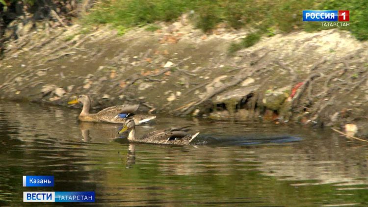 Вести. Татарстан (18.08.23 21:05)
