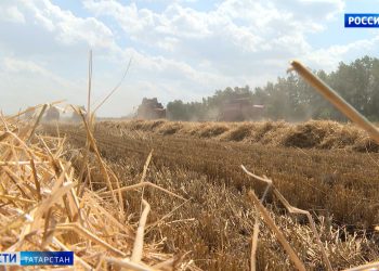 Комаров поздравил юнармейцев и кадетов с началом смены лагеря «Гвардеец»