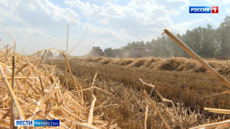 Комаров поздравил юнармейцев и кадетов с началом смены лагеря «Гвардеец»