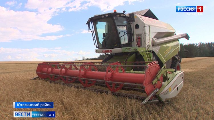 Тетюшские земледельцы лидируют в уборке зерновых