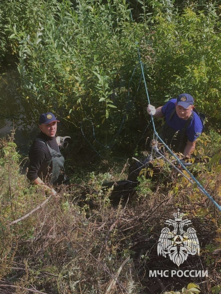 Пьяный житель Арского района упал в ручей и захлебнулся