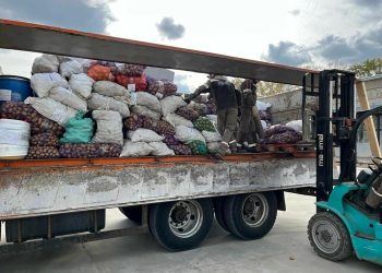 Жители Бугульмы отправили более 8 тонн овощей бойцам СВО