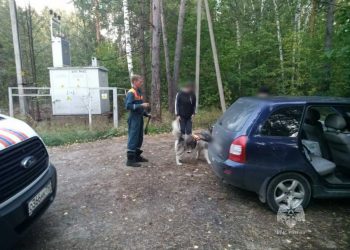 В Тукаевском районе спасатели нашли двух грибников, которые заблудились в лесу