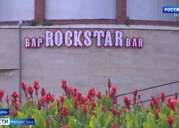 В казанском поселке Юдино пройдет бесплатная вакцинация животных