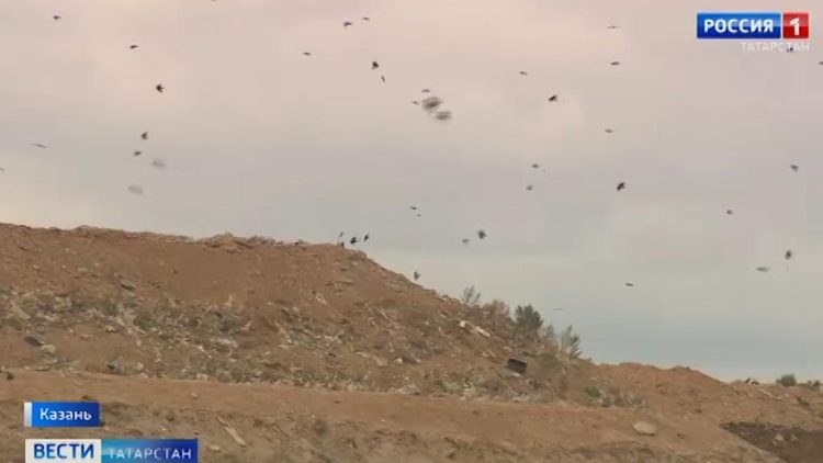 «Восточный» полигон стал источником едкого шлейфа в северной части Казани