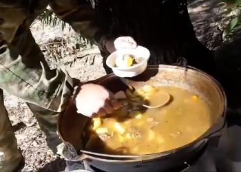 Участники СВО показали, как готовят обед из буинских овощей