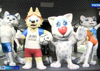 Пушистый спасатель: в челнинскую пожарную часть приняли кота