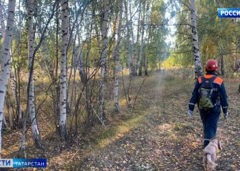В Казани спасатели сутки искали женщину