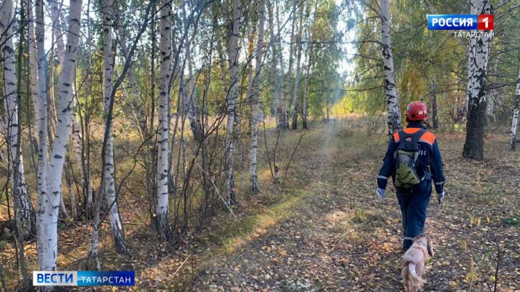 В Казани спасатели сутки искали женщину