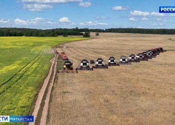 В Татарстане подвели предварительные итоги жатвы