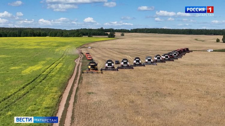 В Татарстане подвели предварительные итоги жатвы