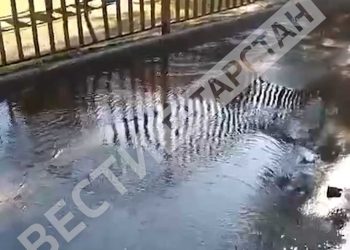 В Казани жители дома на Гвардейской жалуются на фонтан, который бьет из канализационного люка