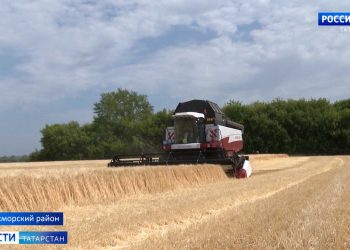 В Кукморском районе завершается уборка зерновых