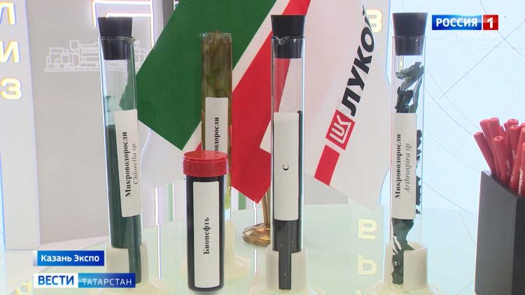 «Утилизировать дымовые газы с помощью микроводорослей и получать из них бионефть»: в Казани прошел нефтегазохимический форум