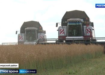«Урожай очень хороший получился»: в Татарстане завершается уборочная кампания