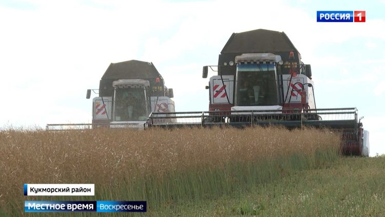«Урожай очень хороший получился»: в Татарстане завершается уборочная кампания