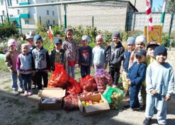 В Буинске дошколята вырастили овощи для бойцов СВО