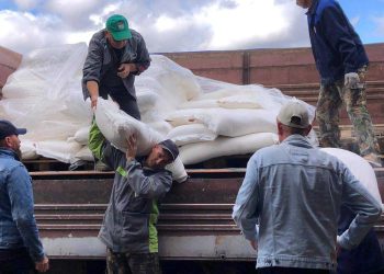 Жители Новошешминского района направят в Лисичанск фуру с продуктами