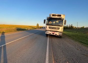 В Азнакаевском районе фура насмерть сбила ребенка