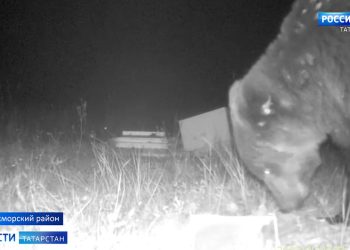 Лизалин: «15 октября – срок окончания навигации»