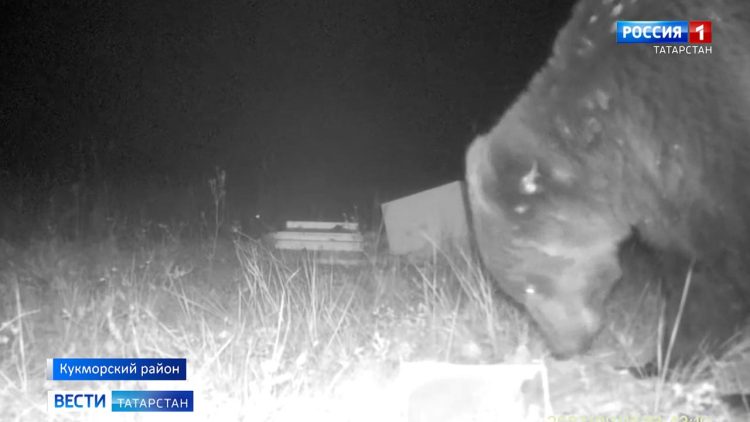 Лизалин: «15 октября – срок окончания навигации»