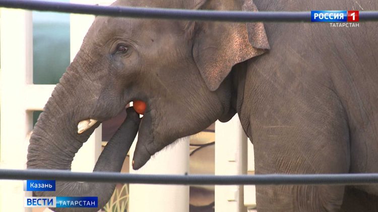 Новые требования к такси могут привести к организации теневого рынка