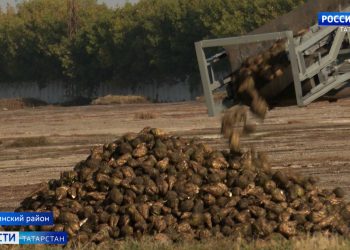В Казани дрифтер покалечил девушек