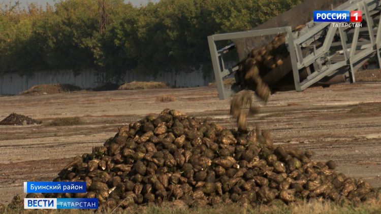 В Казани дрифтер покалечил девушек