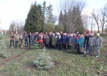 В Бугульминском районе появилась аллея памяти участника СВО