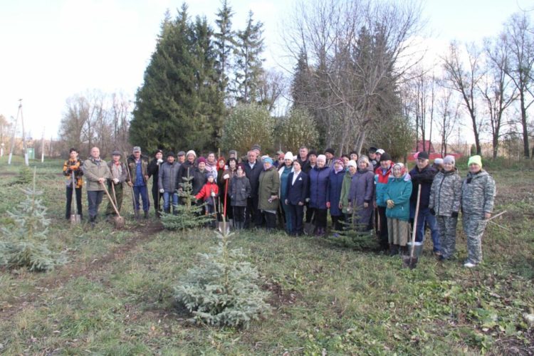 В Бугульминском районе появилась аллея памяти участника СВО