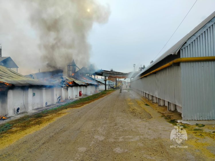В Заинске потушили пожар на складе с зерном
