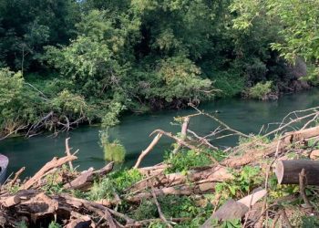 В Татарстане в рамках нацпроекта разобрали завалы деревьев на Казанке