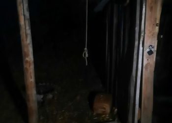 В Пестречинском районе происходят массовые убийства собак