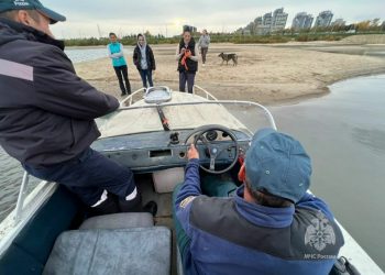 Казанцы приняли сгоревшее бревно на острове за собаку и вызвали МЧС