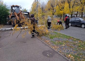 Власти Казани просят горожан не выходить на улицу из-за урагана