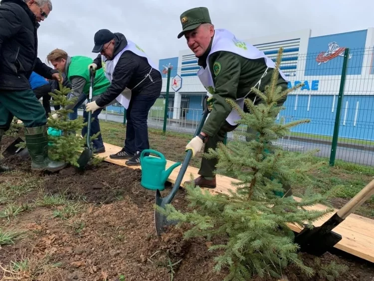 В Алексеевском районе по нацпроекту прошла акция «Сохраним лес»